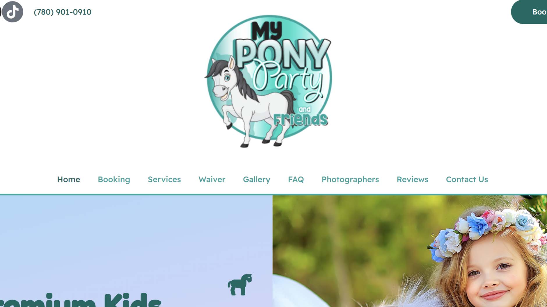 Website Design - My Pony Party